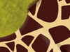 Giraffa camelopardaliss